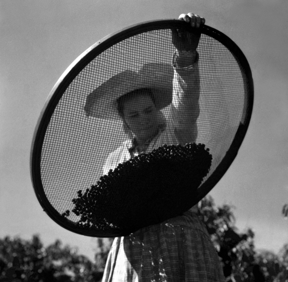 Marcel Gautherot | Acervo Instituto Moreira Salles