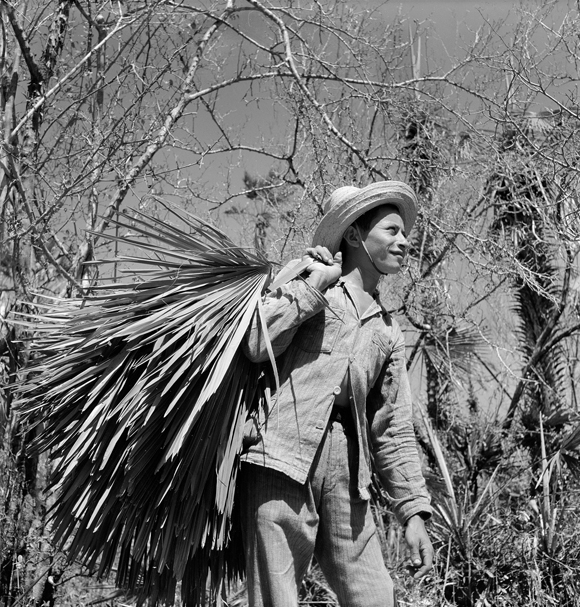 Marcel Gautherot | Acervo Instituto Moreira Salles