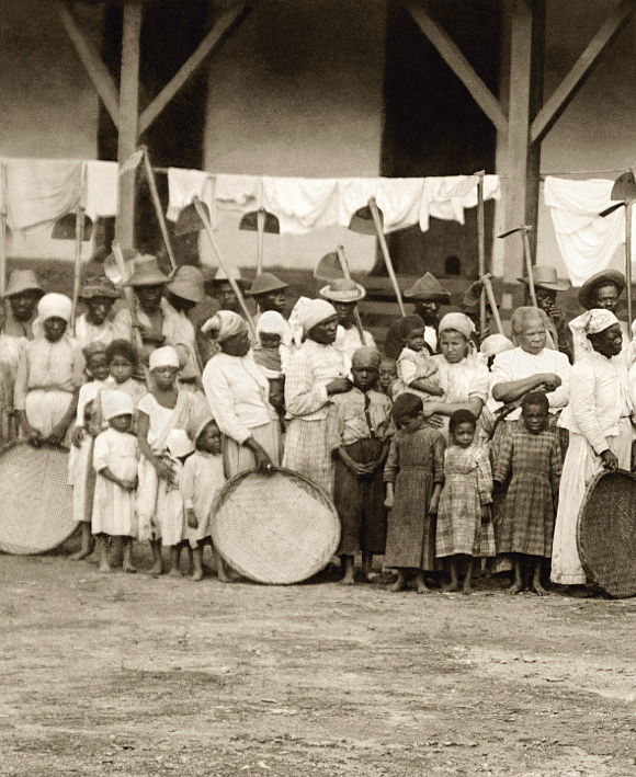 Marc Ferrez/ Coleção Gilberto Ferrez/ Acervo Instituto Moreira Salles | Partida para colheita do café | Vale do Paraíba, c. 1885 Marc Ferrez/ Coleção Gilberto Ferrez/ Acervo Instituto Moreira Salles Partida para colheita do café | Vale do Paraíba, c. 1885