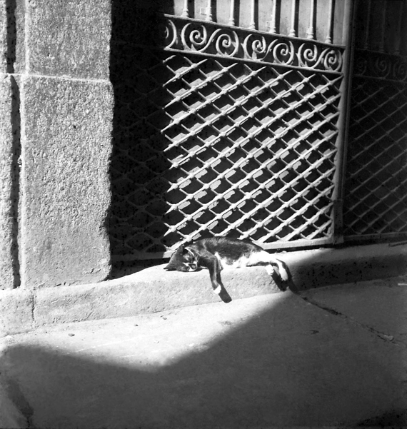 Alice Brill | Acervo Instituto Moreira Salles