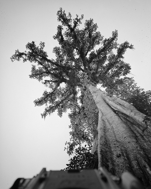 Hans Gunter Flieg | Acervo Instituto Moreira Salles